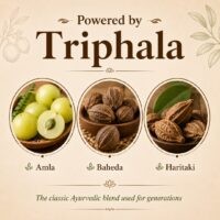 Triphala ingredients Amla Baheda and Haritaki used in Phunti Masale Triphala Chatpata Masala